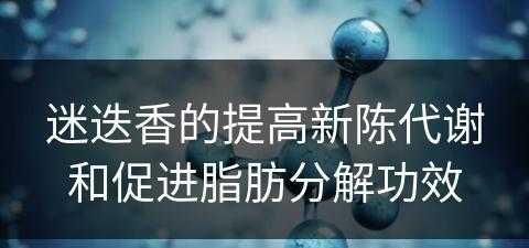 迷迭香的提高新陈代谢和促进脂肪分解功效